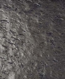 8_jpg1_medium_cropped