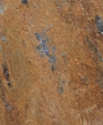 11_jpg1_medium_cropped