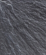 12_jpg1_medium_cropped