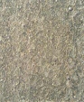 2_jpg1_medium_cropped