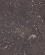 1_jpg1_medium_cropped