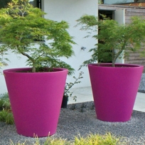 Planters - Contemporary Planters for Hospitality and Residential
