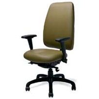 Coto High-Back Task Chair