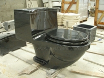 Absolute Black Toilet