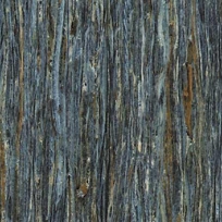 COR BlueBird