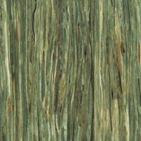 COR Mint Green