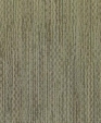 Costilla_4210_medium_cropped