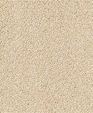 Almo_highres_medium_cropped
