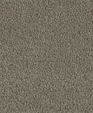 Amgr_highres_medium_cropped