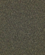 1728294410_detail_medium_cropped