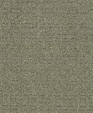 Texture_8110accent_highres_medium_cropped