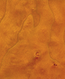 Screen_shot_2011-10-22_at_10