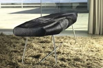 Carey Modern Bench