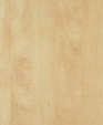 T-439_1_medium_cropped
