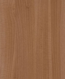T-483_1_medium_cropped