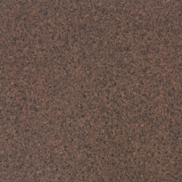Amazon Bedrock P-279