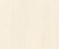 Antique Whitewash T-475
