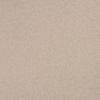 Beige Grit P-887