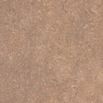 Café au Lait Linolite P-295
