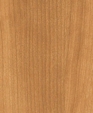 T-458_1_medium_cropped