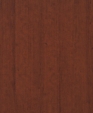 T-448_1_medium_cropped