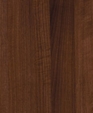 T-485_1_medium_cropped