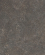 P-322_1_medium_cropped