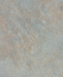 P-991_1_medium_cropped