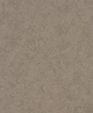 P-238_1_medium_cropped