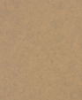 P-953_1_medium_cropped