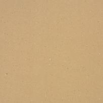 Papyrus Terra P-959