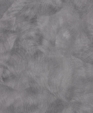 P-999_1_medium_cropped