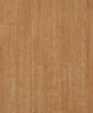 T-447_1_medium_cropped