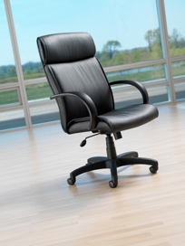 319 Executive