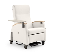 Mitra Recliner