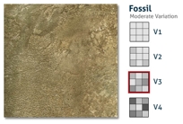 FOSSIL