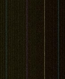 137188161_medium_cropped