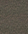 14156101279_medium_cropped