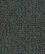 146929737_medium_cropped