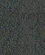 146939919_medium_cropped