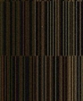 146909869_medium_cropped