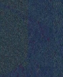 146759413_medium_cropped