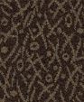 14704101547_medium_cropped