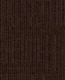 146729324_medium_cropped