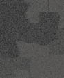142469802_medium_cropped