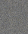 06175_25008_medium_cropped