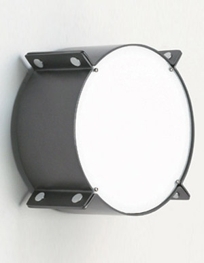 d8110- MERIDIAN Ceiling Fixture/Wall Sconce ADA