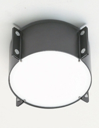 d8110 MERIDIAN Ceiling Fixture/Wall Sconce