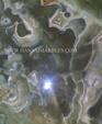 Dark_green_7_medium_cropped