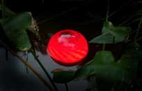 water orb